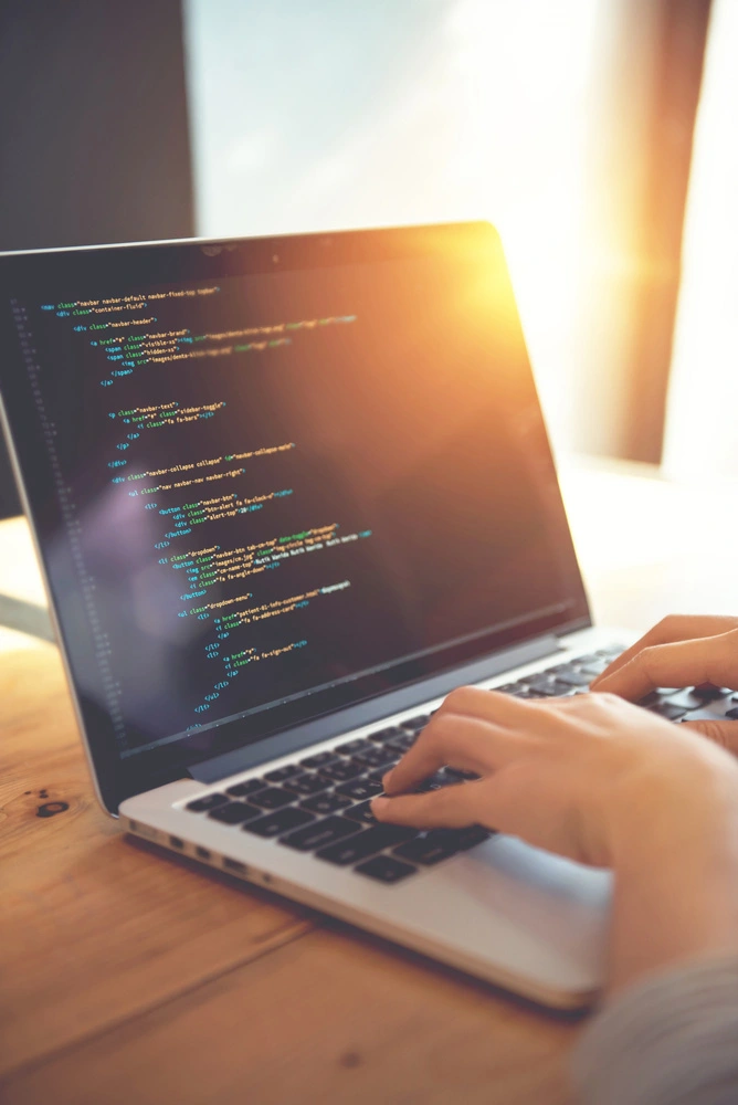 Web Development & Programming